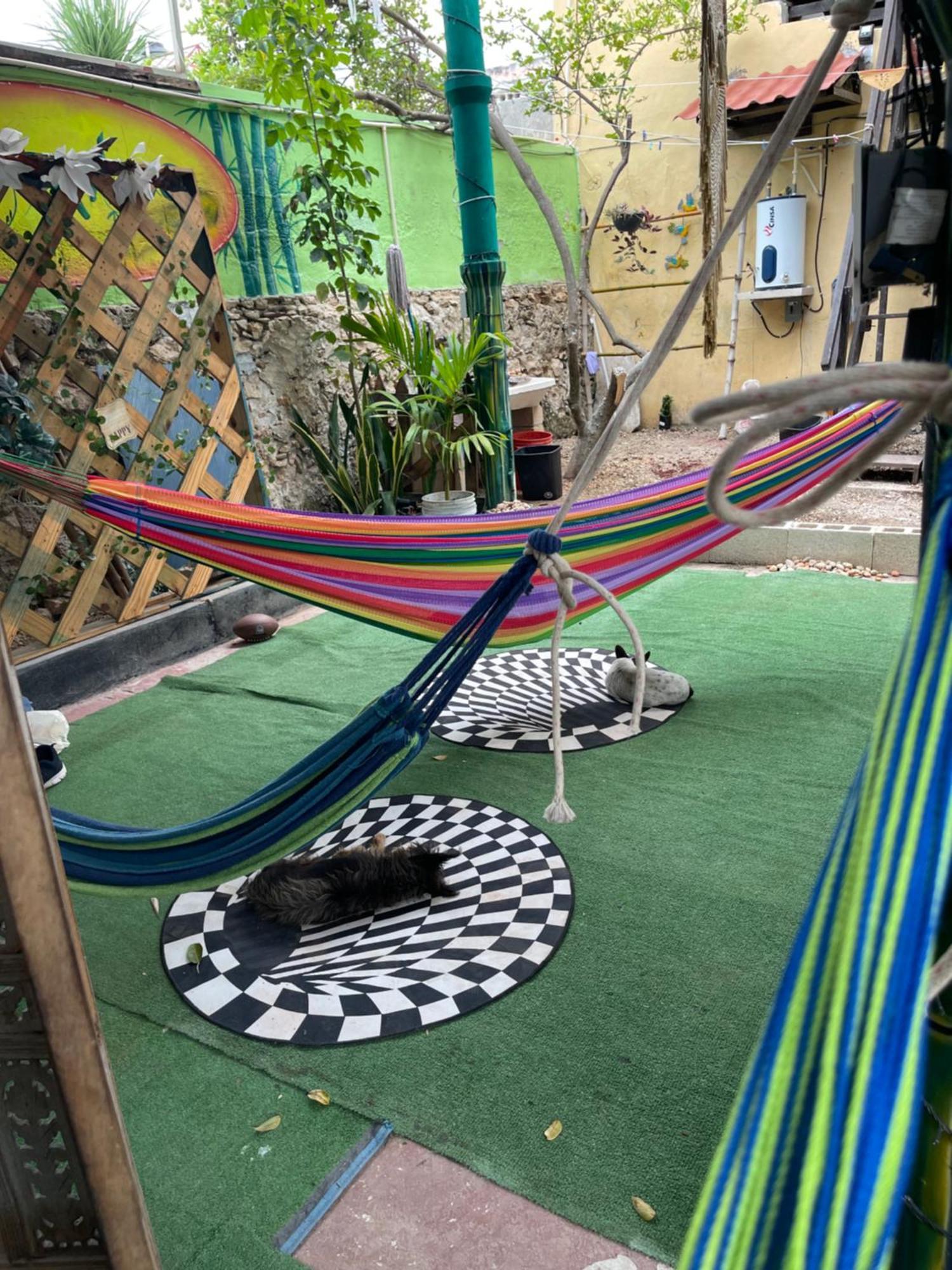La Casa De La 12 Hostel แคมเปเช ภายนอก รูปภาพ
